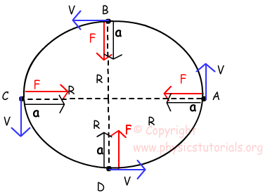 centripetal force free body diagram